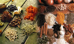 East Indian Cuisine  vegan friendly - fine meats and seafood dishes 